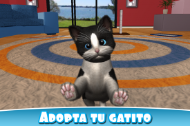 Daily Kitten : gato virtual screenshot 1