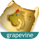 Grapevine Treasure Hunt Icon