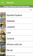 Kruger Park Mammal Identifier screenshot 0