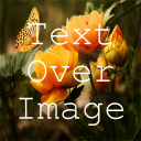 Text Over Image Write Text On Photos Create Quotes