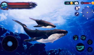 The Humpback Whales screenshot 1