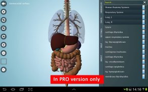 Anatomy 3D - Anatronica screenshot 5