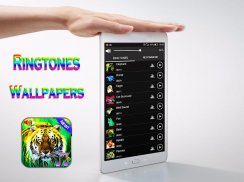 3D Animais Sons & Wallpapers screenshot 5