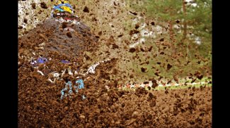 Motocross. Extreme and Mud screenshot 0