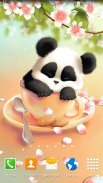 Sleepy Panda Wallpaper screenshot 0