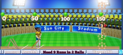 Rudra Cricket Game screenshot 3