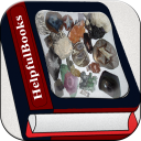 Rocks & Minerals Book