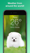 Weather Puppy: Real Time Weather Forecast & Radar screenshot 2