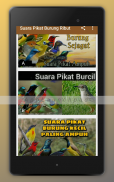 Suara Pikat Burung Ribut Mp3 screenshot 6