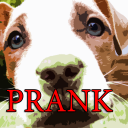 Puppy Whines Prank Icon