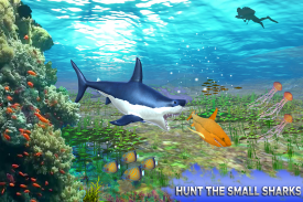 Big Shark Vs Small Sharks screenshot 22