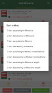 Bulk Rename File screenshot 0