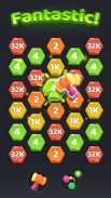 Hexa Diario Puzzle screenshot 0