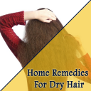 Home Remedies For Dry Hair Icon
