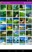 Image Search screenshot 7