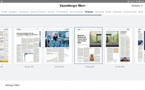 Wort E-Paper screenshot 5