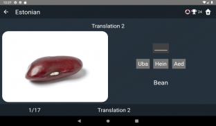 Estonian Language Tests screenshot 18