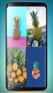 Pineapple Wallpaper HD screenshot 12