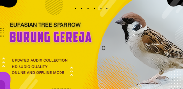 Bird: Eurasian Tree Sparrow screenshot 2