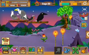 Bird Land : Jeu animalerie & Jouer avec le Oiseau screenshot 3
