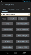 Ping & DNS screenshot 2