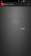 Meter To Feet Converter screenshot 0