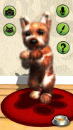 Oh My Dog - Virtual Pet screenshot 5