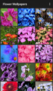 Flower Wallpapers screenshot 1