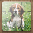 Dog Puzzle Games icon