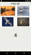 Amazing Animals : Bird Quiz screenshot 3