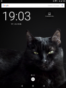 Lindo gato negro Fondos de pantalla animados screenshot 3