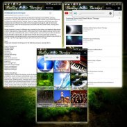 Relaxing Music Remedy screenshot 2