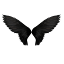 Wings Photo Editor