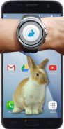 Bunny in Phone Cute joke screenshot 6