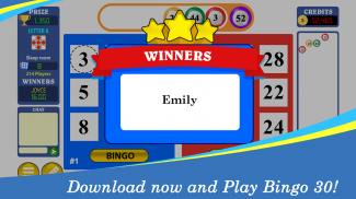 Bingo Thirty™ - Free Bingo 30 Game screenshot 3