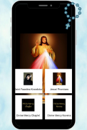 Divine Mercy Chaplet And Novena screenshot 2