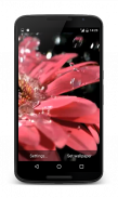 Raindrops on Flower Wallpaper screenshot 0