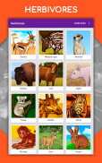 တိရိစ္ဆာန်များကိုဆွဲပုံ။ ပုံဆွဲသင်ခန်းစာများ screenshot 19