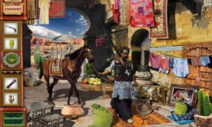 # 53 Hidden Objects Games Free New Trip to Persia screenshot 3