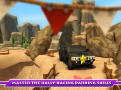 Super Toon Parking Rally 2015 screenshot 3