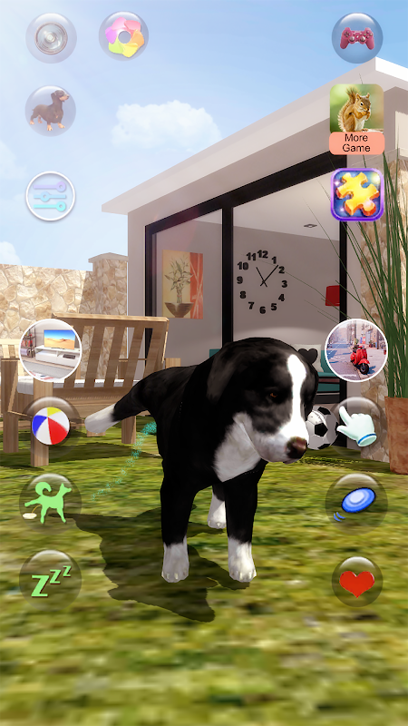 Talking Dog Crazy - APK Download for Android