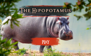 The Hippo screenshot 20