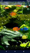 Aquarium Fish Live Wallpaper screenshot 0