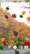 Colorful Autumn Live Wallpaper screenshot 9