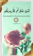 Islamic Truth Quotes screenshot 12