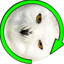 White Owl Spinner Prank Icon