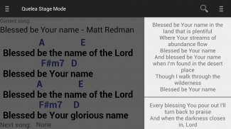 Quelea Stage Mode screenshot 6