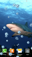 أسماك القرش خلفيات حية screenshot 3