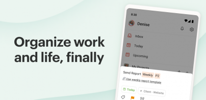 Todoist: Agenda & Planner