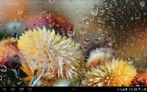 Autumn Flowers Live Wallpaper screenshot 0